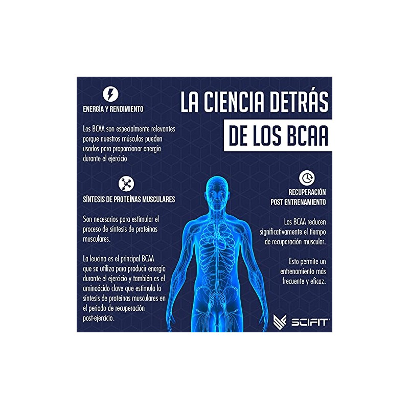 Scifit | Aminoácidos BCAA | 6 g de BCAA 2:1:1