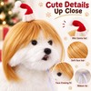 Pet Wig for Cats & Dogs – DIY-Trimmable Curly or