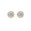 Gold Stud Earrings for Women 14K Gold Earrings Ladies Earrings