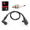 Ignition Coil & Spark Plug For Honda TRX90 TRX90EX Sportrax