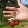 HOLINSE Cherry Bag Charm, Cherry Keychain,Initial Square Charm, 18K Gold