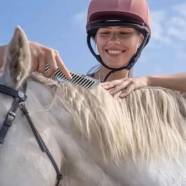 EnweiBingshi Metal Horse Grooming Comb,Portable Tail Comb,Livestock Comb,for Horse Cleaning Hair Removing Loose Undercoat Knots (Sliver)