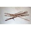 mightyoaktreenursery.com 6 scion cuttings of Akebia Quinata (aka Chocolate Vine)