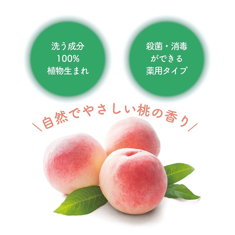 Naive Sumikko Gurashi Medicinal Vegetable Foaming Hand Soap Pump 16.9