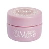PREANFA PGU-P345 Muse Color Gel, Fudge, 0.1 oz (3 g)