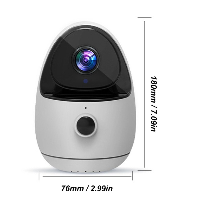 Wireless Intelligent Surveillance Camera, 2.4GHz 1080p HD Baby Dog and