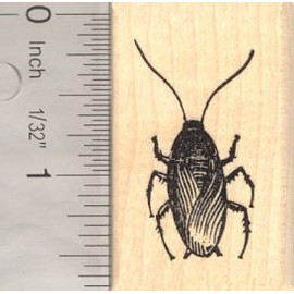 Cockroach Beetle Rubber Stamp