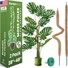 2 Pack 48" and 28'' Bendable Moss Pole Monstera Plant