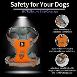 Adjustable Pet Orange Blue Chest Strap Outdoor Activities High Visibility Vests are Easy to Control and Reflective Strips are Designed to Keep Pets Safe While Hiking at Night, Pet Leash 5 Feet（1.5M