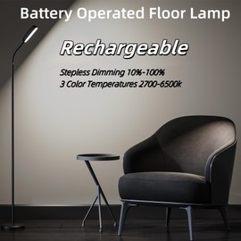 YUWLDD Cordless Floor Lamp, Rechargeable Battery Portable Floor Lamp for Living Room, Battery Operated Lamp, Touch Control for Reading Camping, 3 Color Temperatures Emergency Lighting(Black)