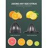 Professional Brushed Stainless Steel Electric Citrus Juicer, 2 Interchangeable Cones