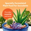 Miracle-Gro Succulent Plant Food, Liquid Plant Food for All Indoor