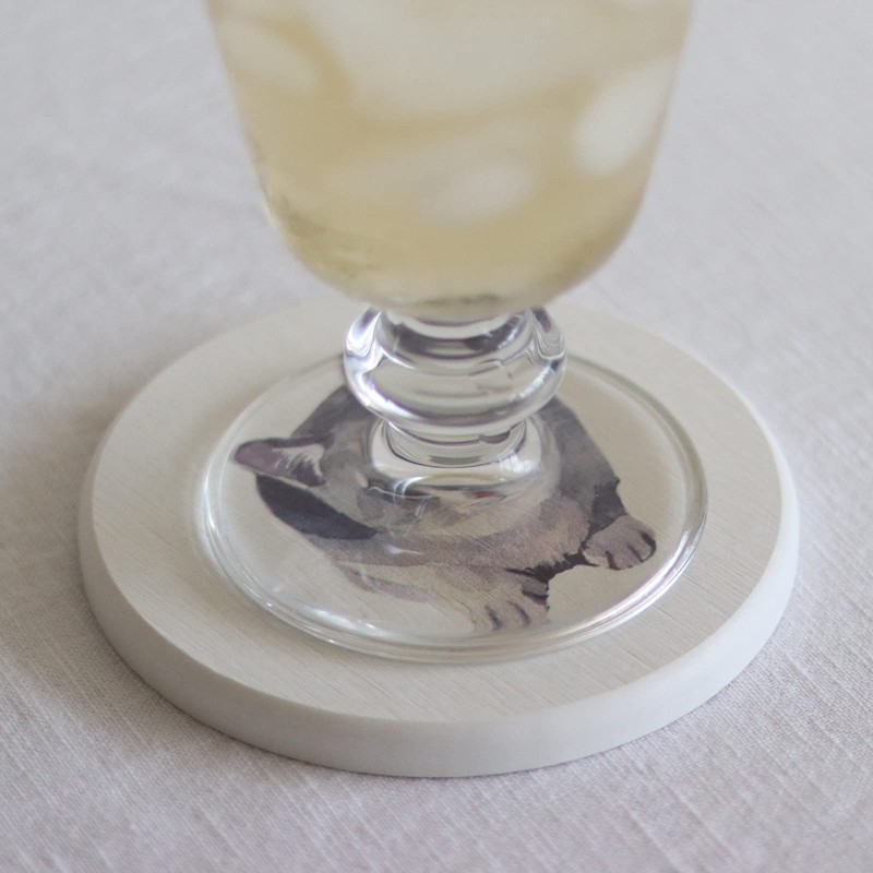 Jubilee Diatomaceous Earth Coasters Set of 2 Cat Pastel Color