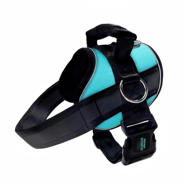 Joyride Harness 2.0 - The Original Side Ring No Pull