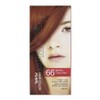Hair Dye Red Pearl Pearl 66 Kwaulnara Cherry / 염색약 레드 진주펄 66 과일나라 체리