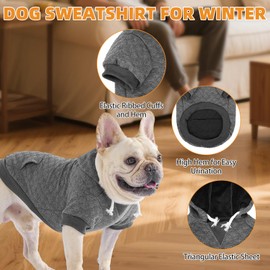 KOOLTAIL - Sudadera con capucha para perros con sombrero y bolsillo para perros pequeños, medianos y grandes, chamarra cálido y suave para clima frío, sudadera con capucha de algodón laminado con