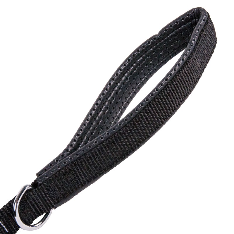 GoGo Pet Products 3/4-Inch Wide Comfy Nylon Dog Leash, 4-Feet