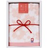 Hayashi GI052900 Hand Towel Gift, 1 Piece Set, Approx. 13.4