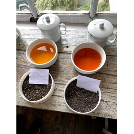 Makai Bari Tea Garden Organic Darjeeling Tea Autumn 2023 Autumn Vintage (FTGFOP-1S) 3.5 oz (100 g)