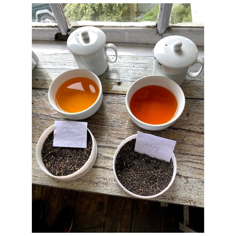 Makai Bari Tea Garden Organic Darjeeling Tea Autumn 2023 Autumn