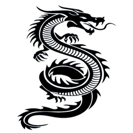 Dragon Tattoo - Temporalis® | Temporary Tattoo, Vegan and Waterproof - EU Certified Cosmetics - Lasts 1 to 2 Weeks [Spiral Dragon]