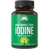 Raw Whole Food Iodine Supplement from Organic Kelp (Ascophyllum Nodosum)