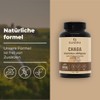 Bandini® Chaga 366 Tablets | On the Mushroom Inonotus Obliquus,
