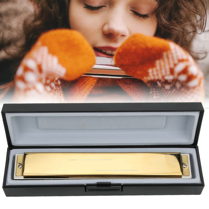 24 Hole Tremolo Harmonica Harp Wind Musical Instrument for Beginner