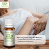 Intestinal Vital Metabolism Globules Booster - Radionic Informed | for