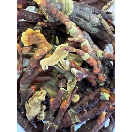 Den Hill Farm And Fungi Reishi Antlers Dried Bulk 1lb Wholesale Appalachian US Grown Medicinal Mushrooms