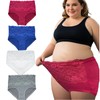 WhilyeePam Womens Underwear Plus Size High Waist Lace Panties Briefs