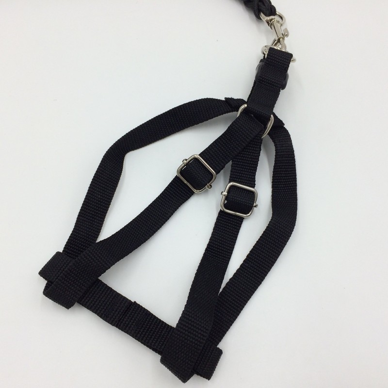 Braided Chalk Collar Harness Lead (DauStage) Small Dogs, Medium Dogs,