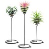 VILLCASE 3pcs Air Plant Holder, Airplants Rack Metal Plants Stand,