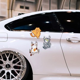 Itisyou Bicycle Sticker Car Sticker Funny Car Sticker Car Cat Sticker Car Sticker Car Hide Sticker Bike Suitcase Sticker 3pcs (M)