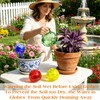 Self Watering Globes for Plant, Large Glass Outdoor Plant Watering
