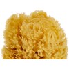 CROLL & DENECKE Natural Sponge 12cm