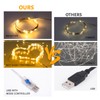 Fairy Lights 66 ft 200 LED USB Twinkle String Lights