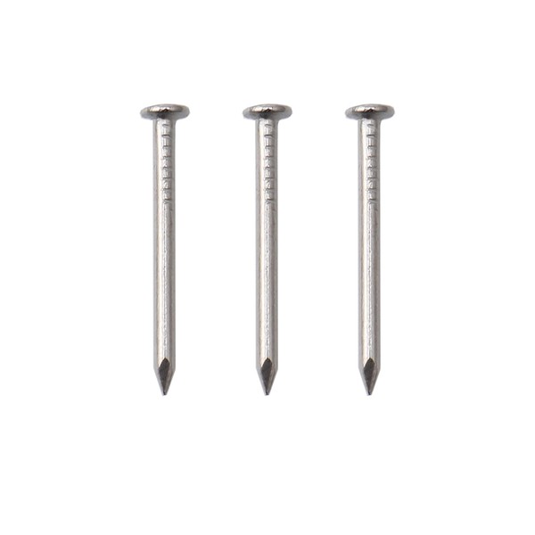 JEGONFRI 900pcs Hardware 3/4'' 17 Ga Nickel Plated Hanging Nails