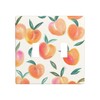 Peach Motif Wall Plates Double Toggle Light Switch Cover Decorative
