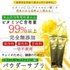 ビタミンC (L-アスコルビン酸) スティック 30包入り 約1カ月分 持ち運び 粉末 パウダー原末 純度99.0％以上