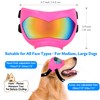 Large Dog Sunglasses Dog Goggles Pet Glasses Pet Eyewear with