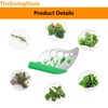 9 Holes Herb Leaf Stripper Tool, 304 Stainless Steel Kitchen