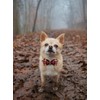 Elegant little tail Dog Collar with Bow, Bowtie Dog Collar,