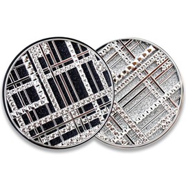 Age 20S Pact Age to Wenness 3D Touch Cover Black Label Cushion Original 13g / 에이지20S팩트 에이지투웨니스 3D 터치 커버 블랙라벨 쿠션 본품 13g
