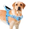 ADVENTUREMORE Dog Harness for Large Dogs No Pull, Sport Dog