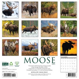Moose 2025 12" x 12" Wall Calendar