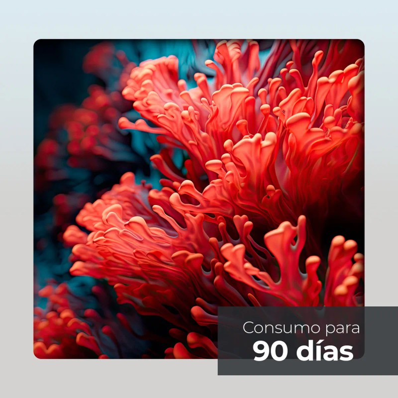 Astaxantina + Aceite De Coco Mct Oil | 90 Softgels
