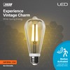 Feit Electric Motion Sensor, Non-Dimmable, Indoor/Outdoor LED Bulb with Exposed