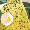 50Pcs Double Sided Insect Yellow Catching Board Sticky Flying Insect