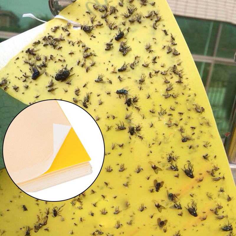 50Pcs Double Sided Insect Yellow Catching Board Sticky Flying Insect